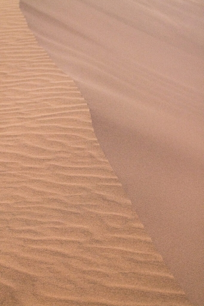 <p>Sand dune ridge close-up, Swakopmund – 2024<br />
<span style="font-size: 20px;"><strong>Namibia, Africa</strong></span></p>
