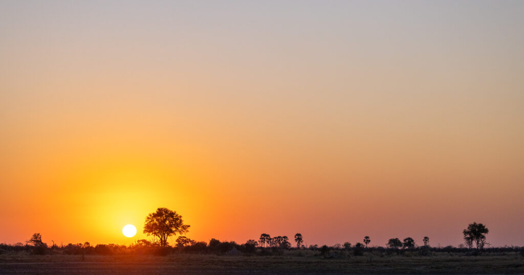 <p>Okavango Delta – 2024<br />
<span style="font-size: 20px;"><strong>Botswana, Africa</strong></span></p>
