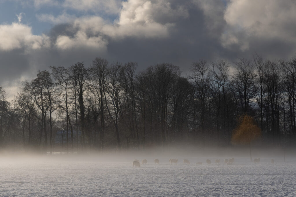 <p>Bloemendaal – 2026<br />
<span style="font-size: 20px;"><strong>The Netherlands, Europe</strong></span></p>
