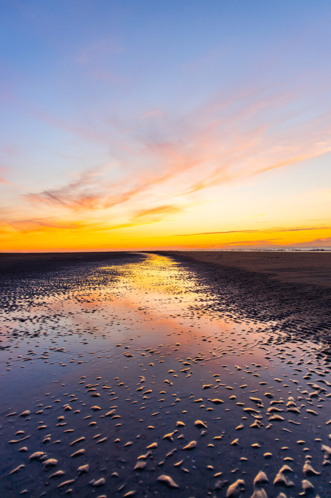 <p>Zeeland – 2020<br />
<span style="font-size: 20px;"><strong>The Netherlands, Europe</strong></span></p>
